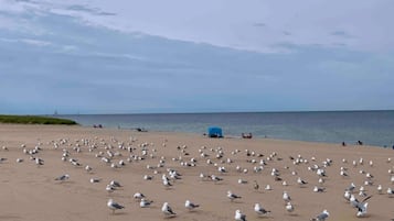 海滩