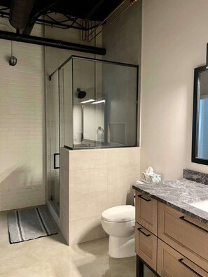 A modern bathroom with a glass shower enclosure, a toilet, and a vanity with drawers. - Classic Pied a Terre (Benton Harbor)