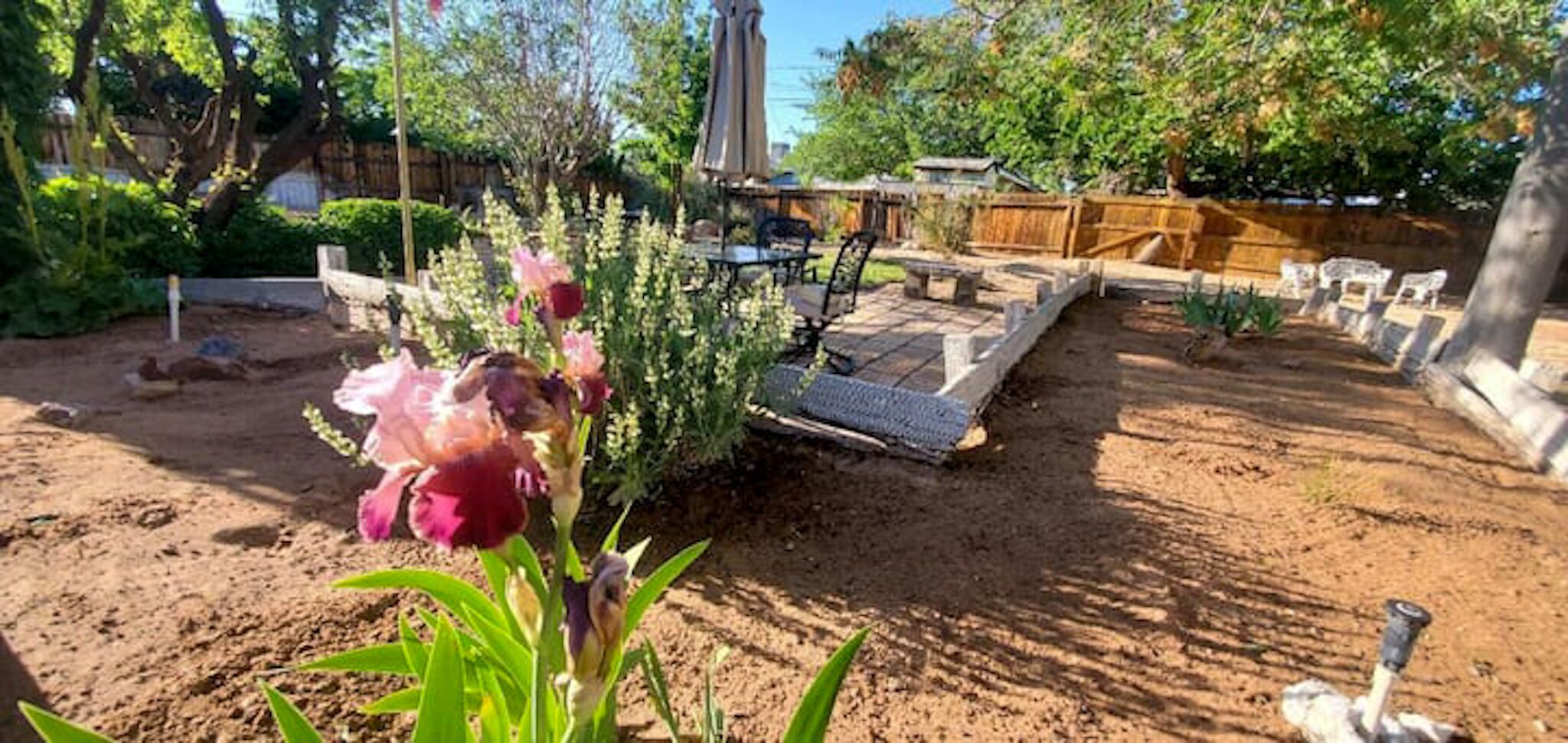 Un jardin avec un petit parterre de fleurs, une terrasse en bois et une pergola.