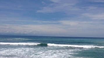 Playa en los alrededores