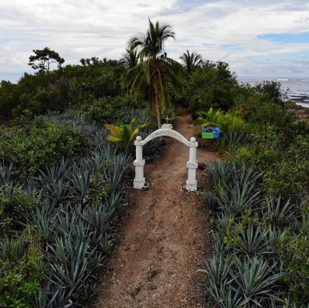 Un sendero que lleva a la entrada de un edificio, con un letrero que dice "HENDERSON".