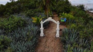 Un sendero que lleva a la entrada de un edificio, con un letrero que dice "HENDERSON".
