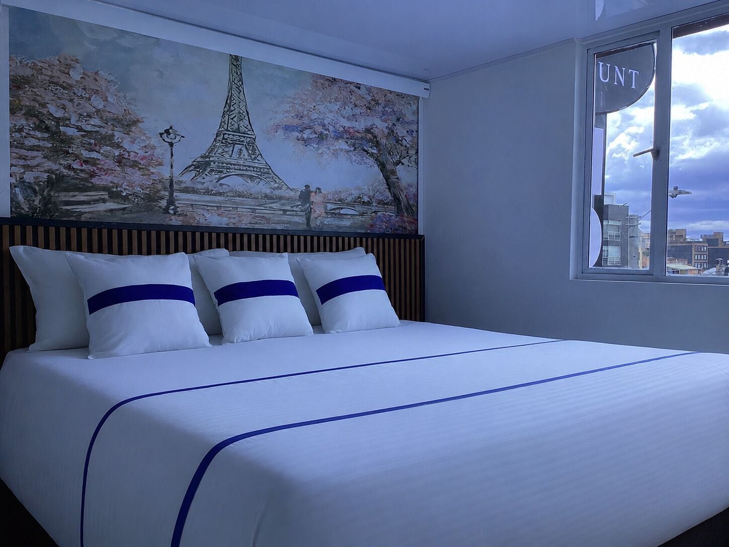 Ropa de cama de alta calidad y edredones de plumas