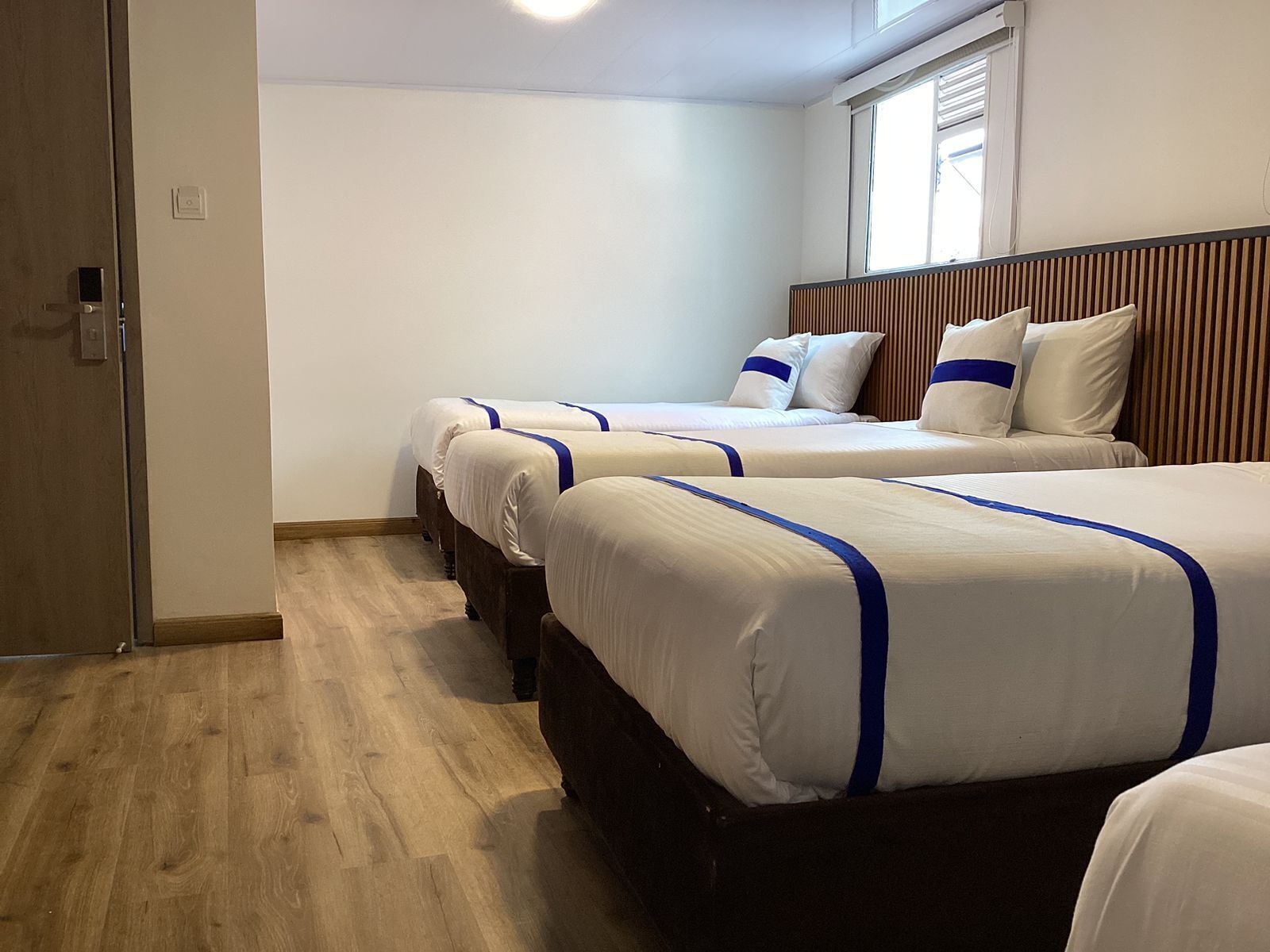 Premium bedding, down comforters, pillowtop beds, desk