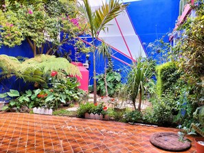 Reception - Casa Maguey (Mexico City)