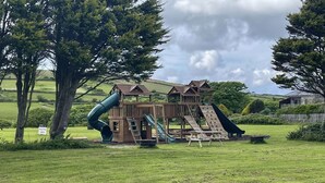 A wooden play structure with slides and a small house, surrounded by grass and trees. - Bushwood Lodge (Helston)
