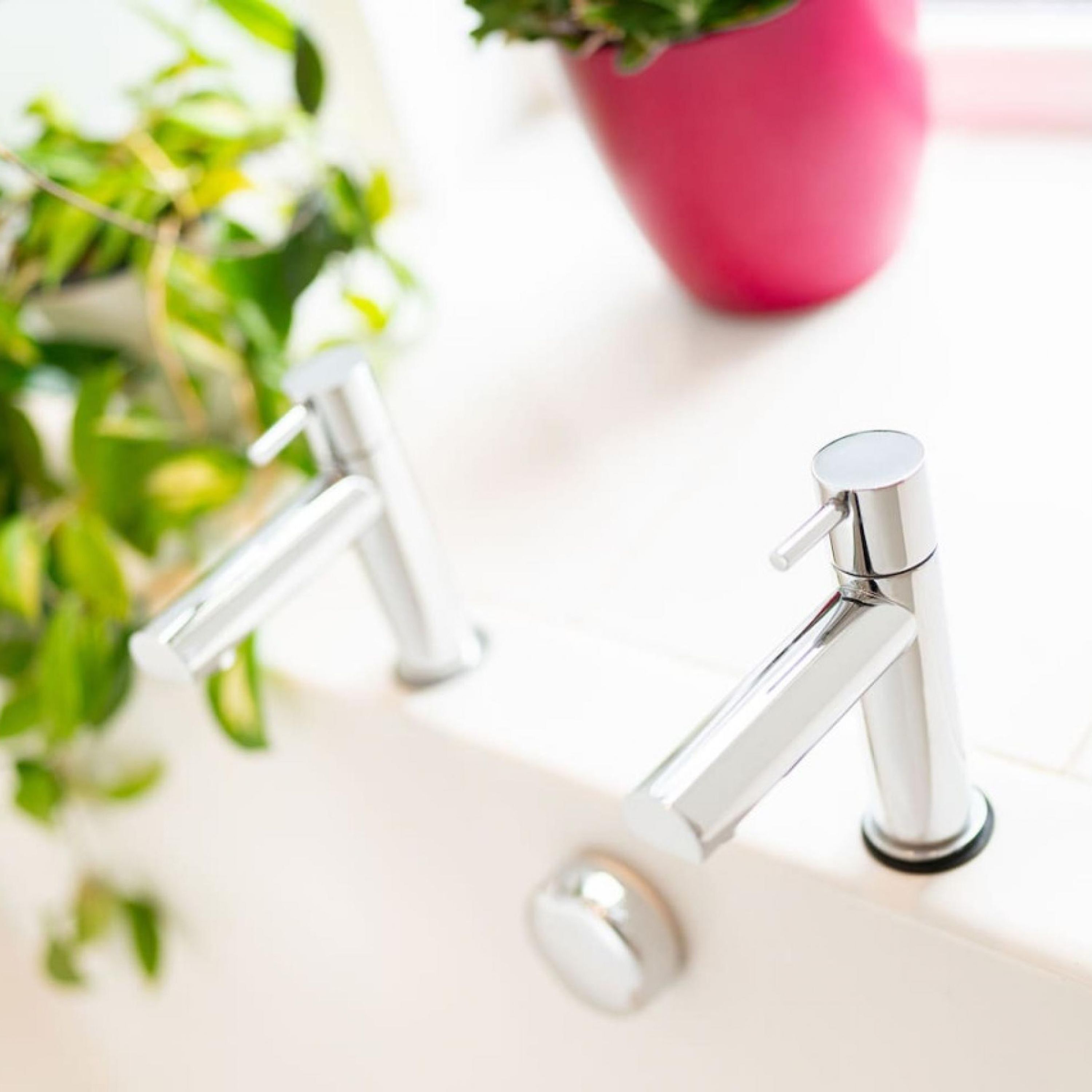 Une salle de bain moderne avec des robinets chromés et une plante en pot.