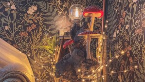 A rustic wooden ladder with fairy lights, a mushroom sculpture, and a wall with floral wallpaper. - -Shingle Diggins Cottage- (Coloma)