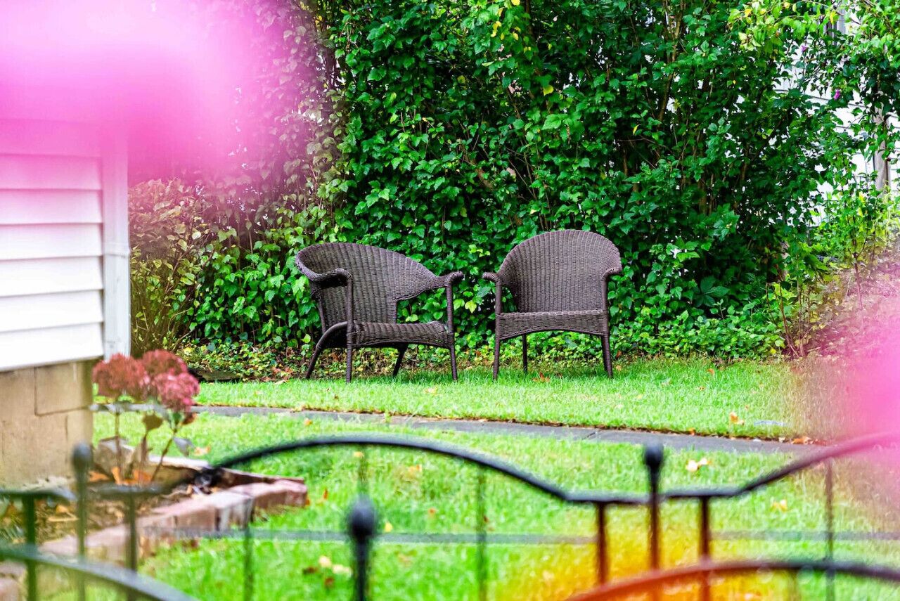 Two wicker chairs in a garden with a hedge in the background.