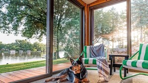 Un perro descansando sobre una alfombra en una habitación con ventanas amplias que dan a un lago y vegetación.