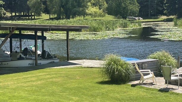 A grassy area with a dock, a covered seating area, and a pond with lily pads.