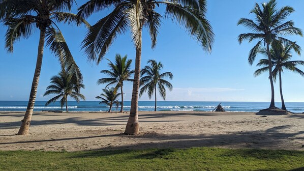 On the beach, sun loungers