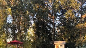 A hot tub with a pool, lounge chairs, and a small building in a wooded area. - River Estate-Luxury Pool,  Spa (Anderson)