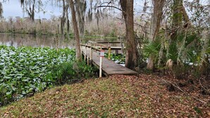 A wooden dock extending over a pond surrounded by lush vegetation and trees. - Private Home and Dock on Dunns Creek!
Sportsman's paradise, hosted by Sportsman. (Satsuma)