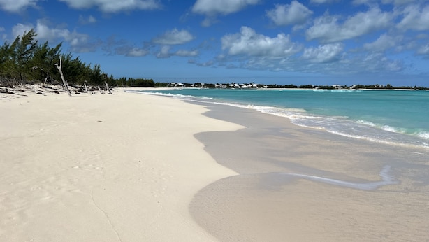 A beach with clear turquoise waters, a sandy shore, and a line of trees in the background.