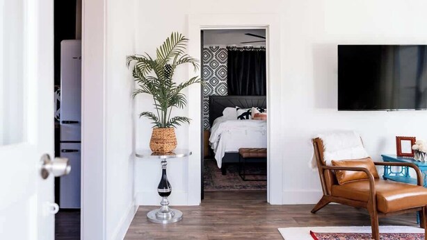 A hotel room with a bed, a TV mounted on the wall, a potted plant, a chair, and a small table. - Walkable to Fayetteville + Wine Bar | Sleeps 3 (Fayetteville)