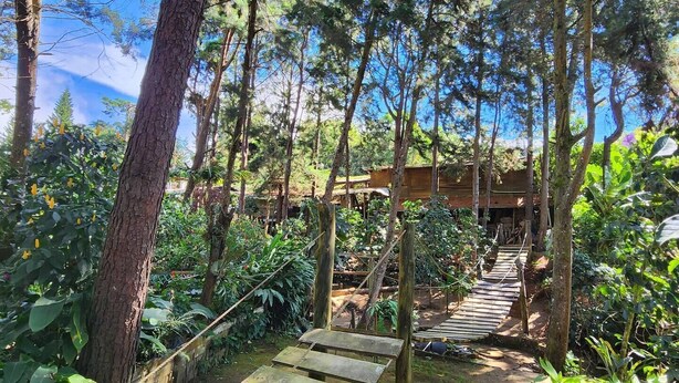 Property grounds - Cabaña Pipil en Los Naranjos (Los Naranjos)