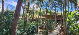 Cabaña Pipil en Los Naranjos