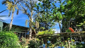 A garden with various plants and a pergola structure. - Cabaña Pipil en Los Naranjos (Los Naranjos)