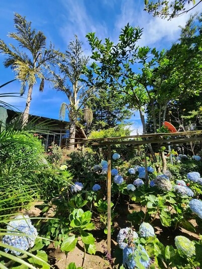 Cabaña Pipil en Los Naranjos