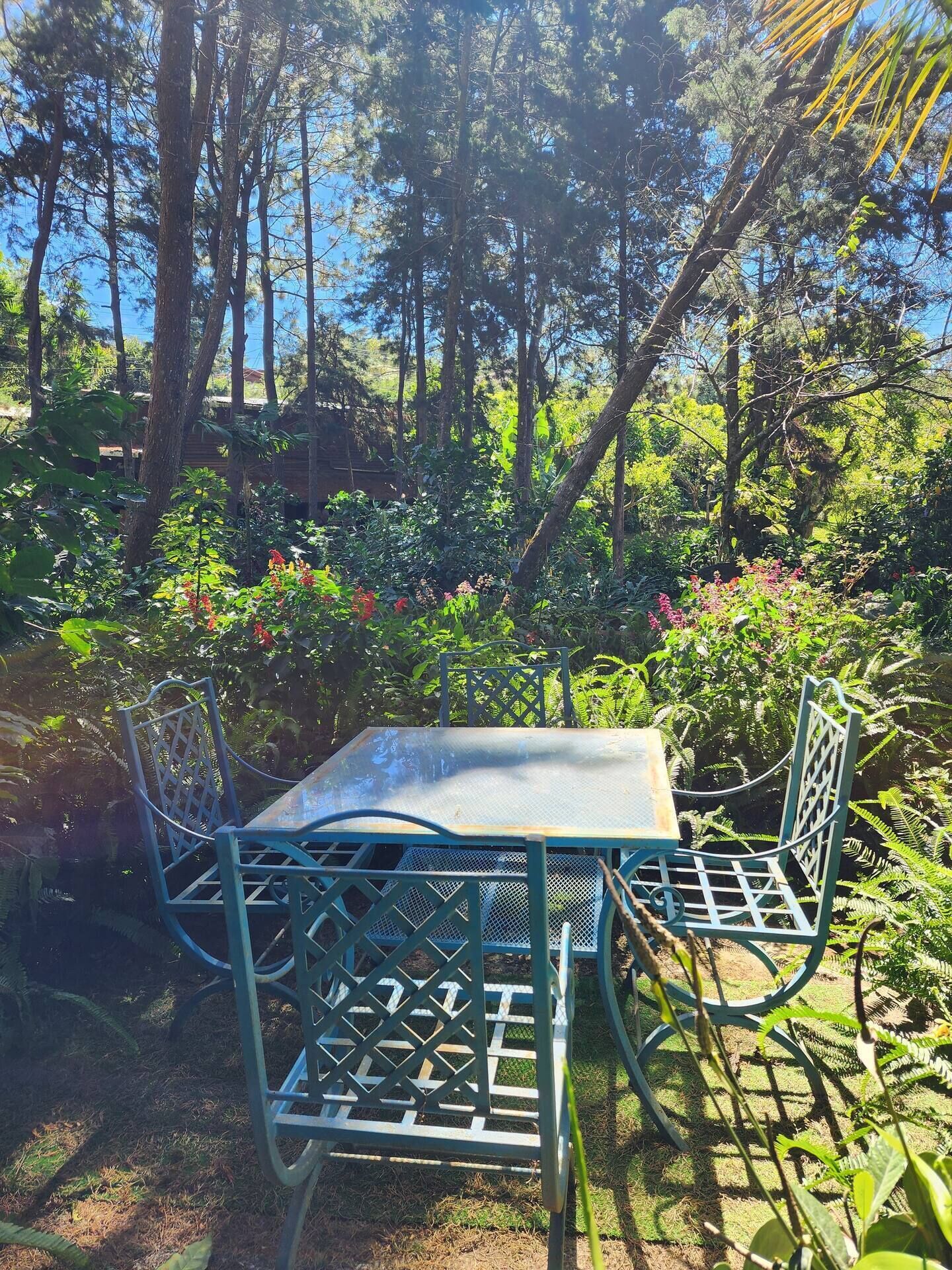 Opções para refeição ao ar livre