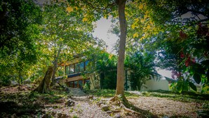 Une maison entourée d’arbres et de verdure.