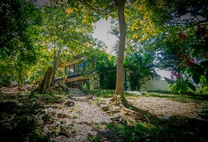 Property grounds - Villa Fourth Dimension - Tamarindo & Avellanas Beach  (Tamarindo)