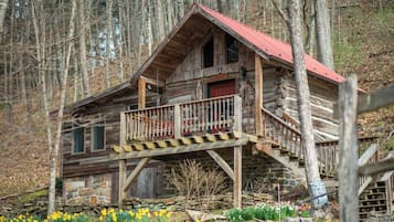 Patton Cabin, 1 Queen Bed, Jetted Tub and Fireplace