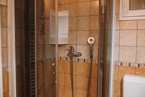 Shower, hair dryer, towels - Apartment with Atrium Anabela in Tolmin (Tolmin)