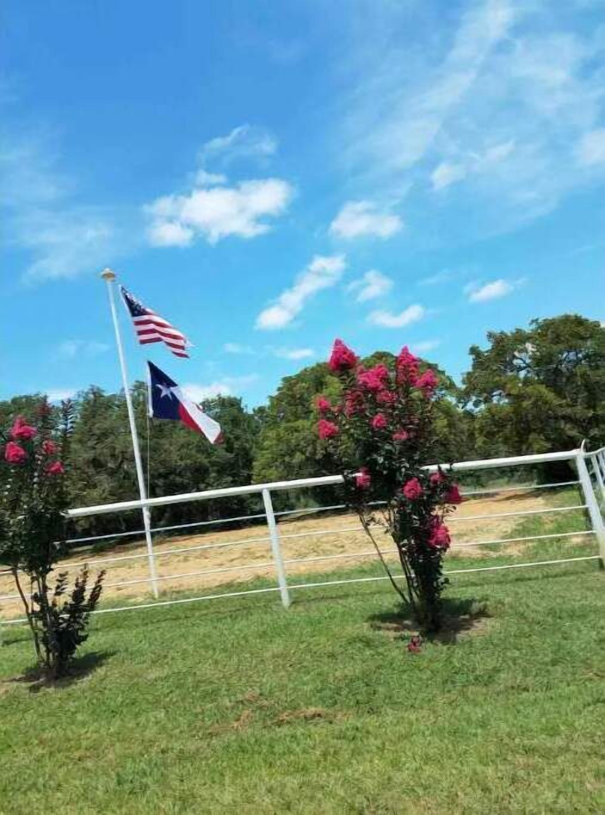 A flagpole with the Texas state flag and the American flag, surrounded by pink bougainvillea flowers and a white fence.