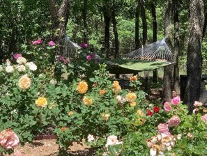 Property grounds - Rosemeade Cottage (Paradise)