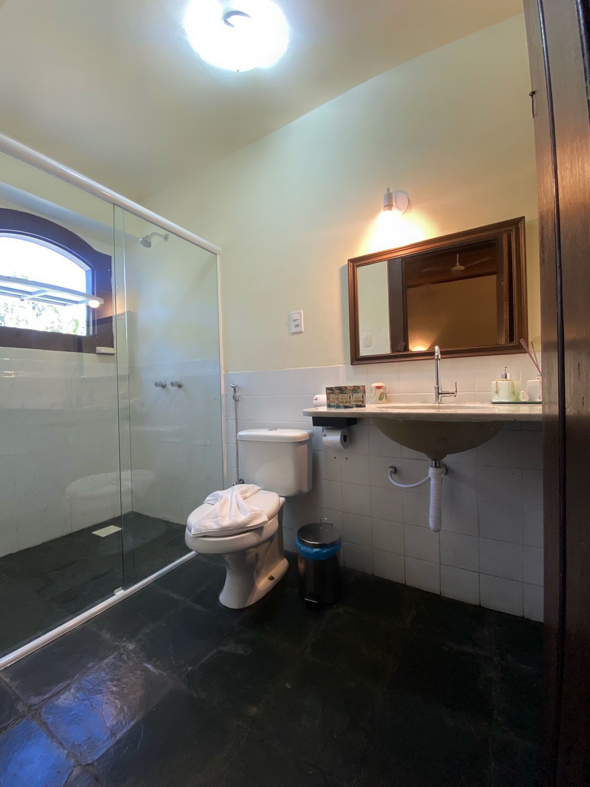 A bathroom with a glass shower enclosure, a toilet, a sink with a mirror above it, and a trash bin.