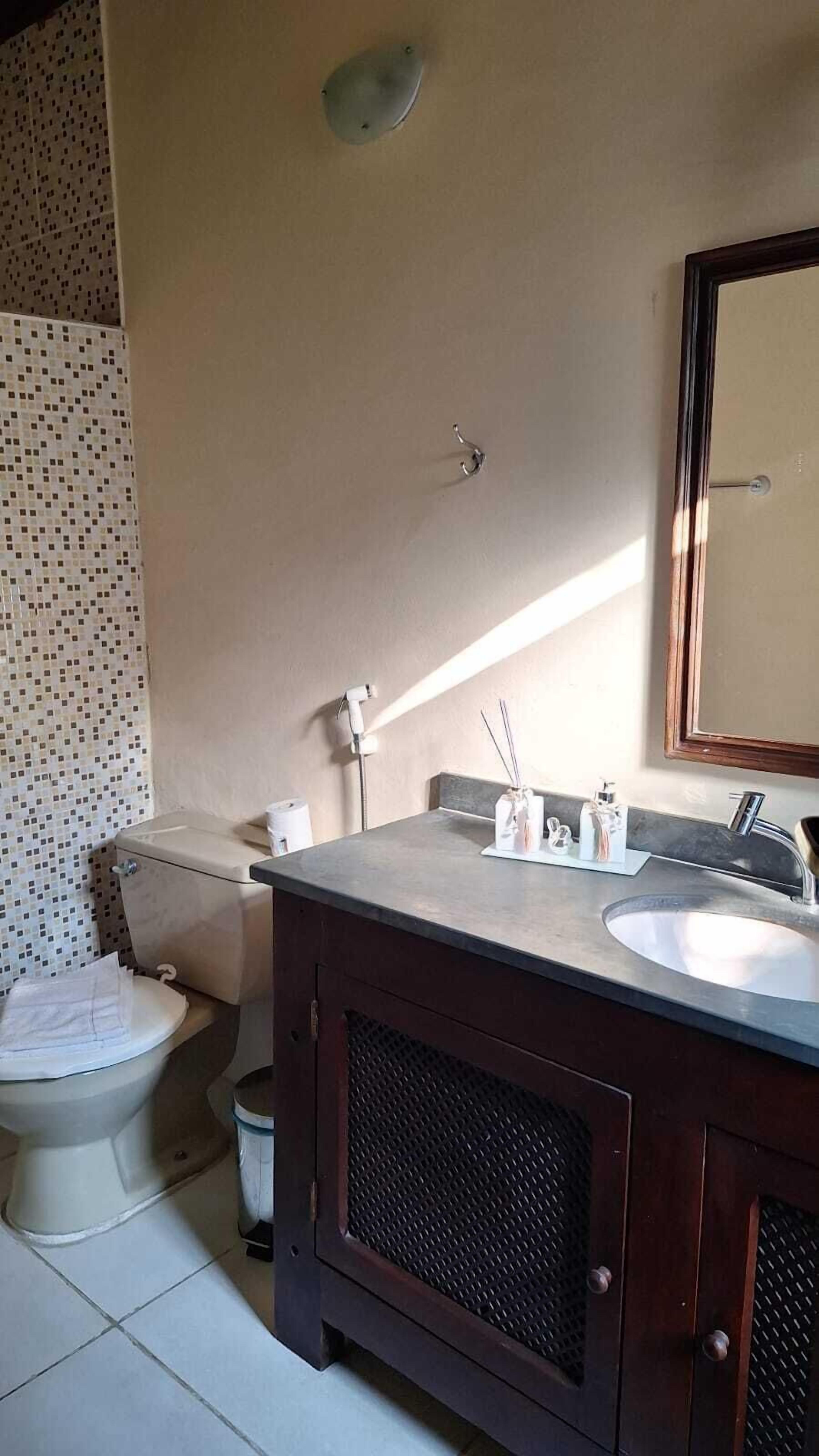 Un baño con inodoro, lavamanos y espejo.