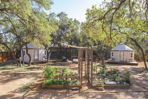 A backyard with a wooden pergola, raised garden beds, and a small cabin.