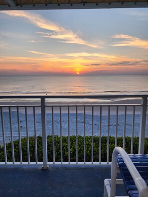 Property grounds - Ocean Front Condo - Sea Turtle Penthouse
Breathtaking View -Walk to Flagler Ave  (New Smyrna Beach)