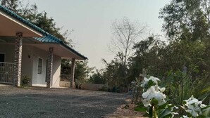 Ein Haus mit Kiesweg und Garten mit weißen Blüten.
