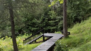A wooden boardwalk in a forested area with a black railing.