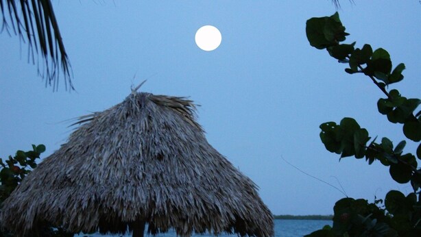 A beach scene with a thatched umbrella, two wooden chairs, and a calm sea under a moonlit sky. - Complete Beach Retreat: Cottage + Beachhouse (Placencia)
