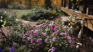 Un jardin agrémenté de diverses plantes à fleurs et d’un banc en bois.