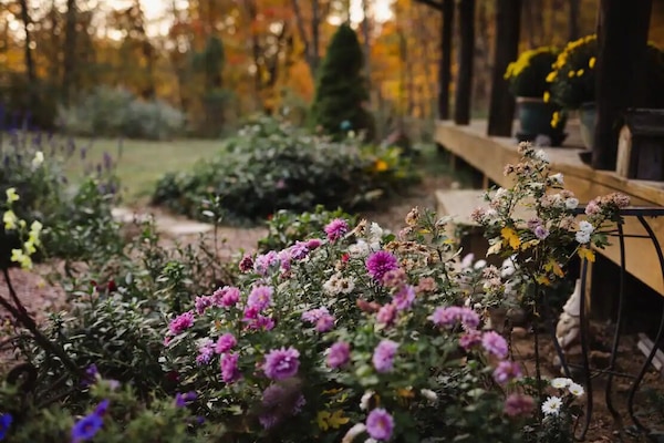 Àrea exterior de l'allotjament