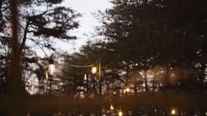 Une terrasse en bois avec une table et des chaises, entourée d’arbres et illuminée de guirlandes lumineuses.
