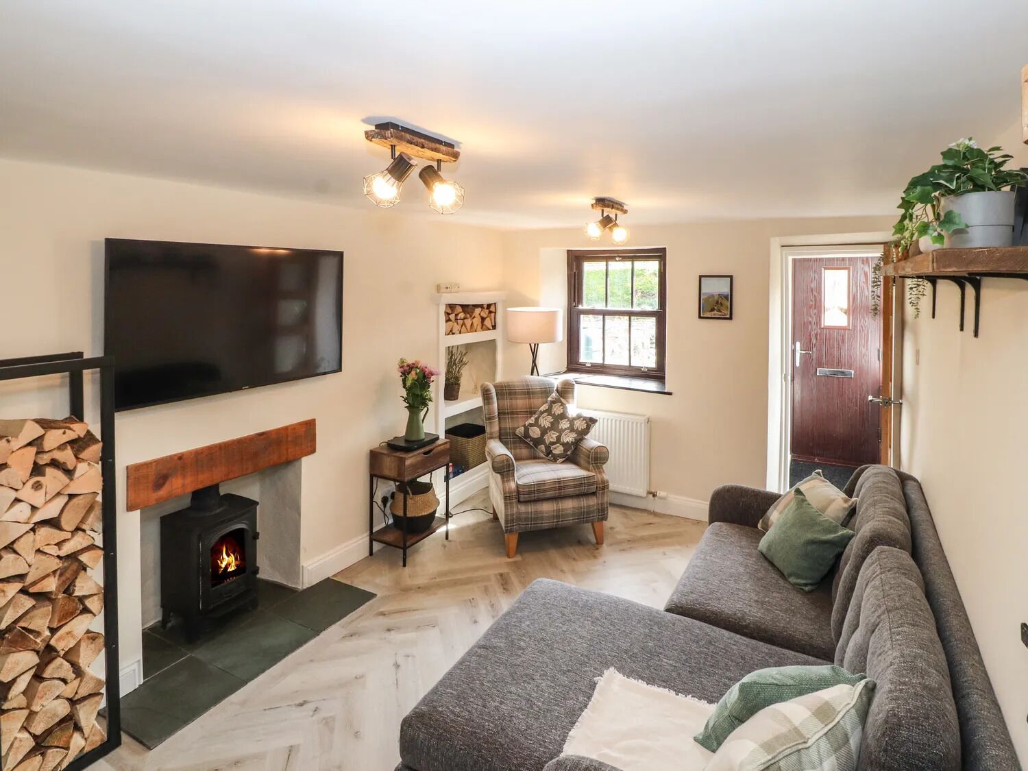 Smart TV, fireplace, books