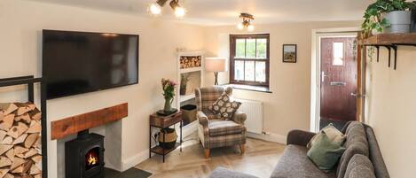 Smart TV, fireplace, books