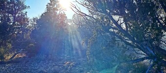 Sustainable Camping in Nature