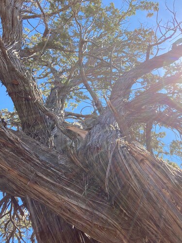 Sustainable Camping in Nature

