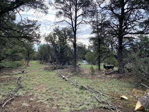 Property grounds - Cannabis friendly camping

 (Fence Lake)