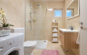 Shower, hair dryer
