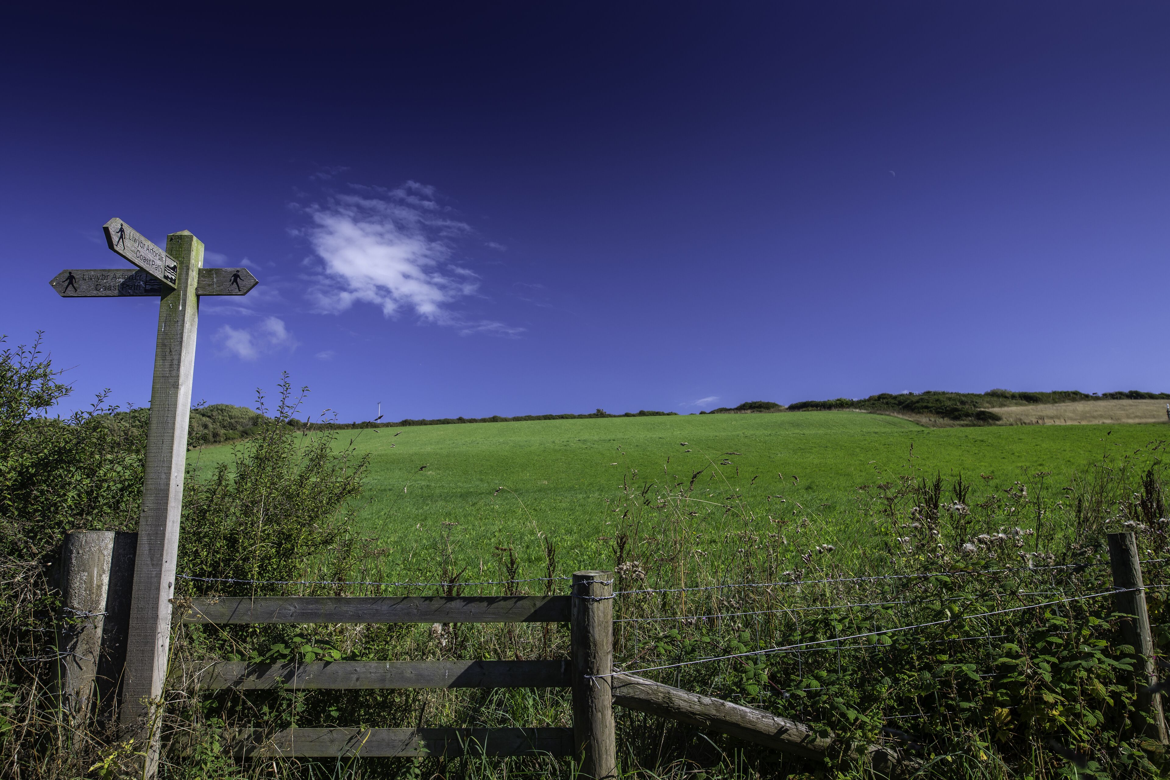 A wooden signpost with directional arrows in a rural setting.