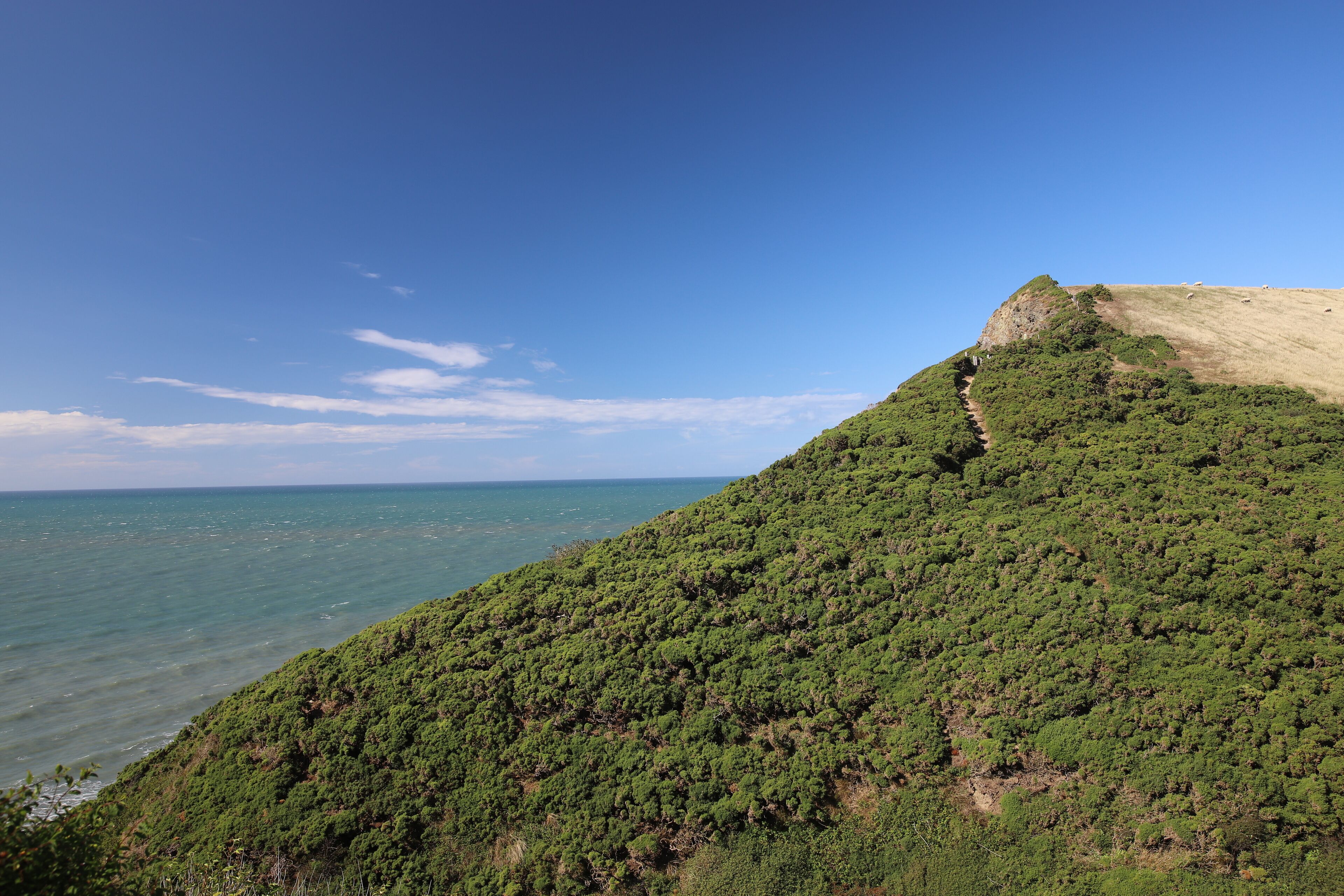 Een kustlandschap met een opvallende heuvel en helder uitzicht op de oceaan.