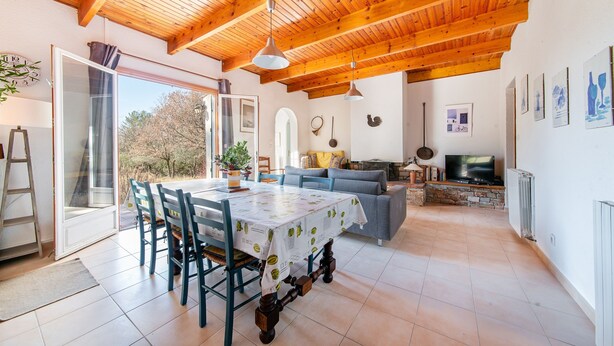 Een ruime woonkamer met een houten plafond, een eettafel met stoelen, een bank en een televisie.